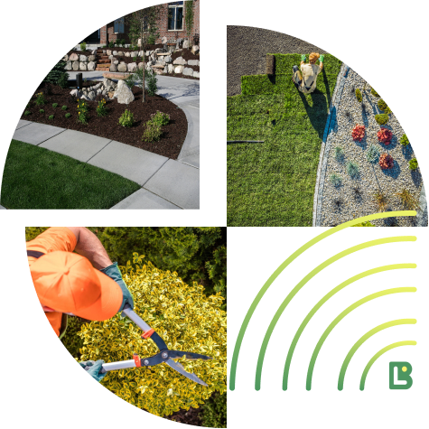 winter landscape maintenance