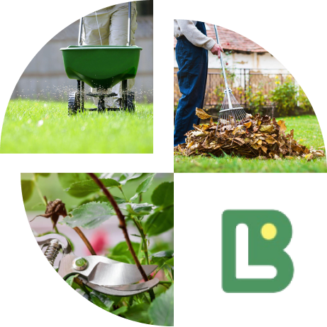 winter clean up landscaping