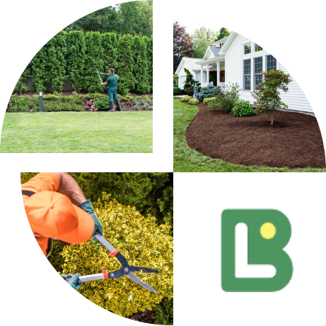winter landscape maintenance