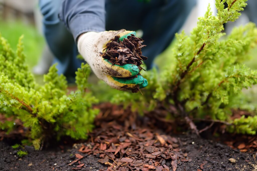 spring yard cleanup