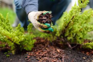spring yard cleanup