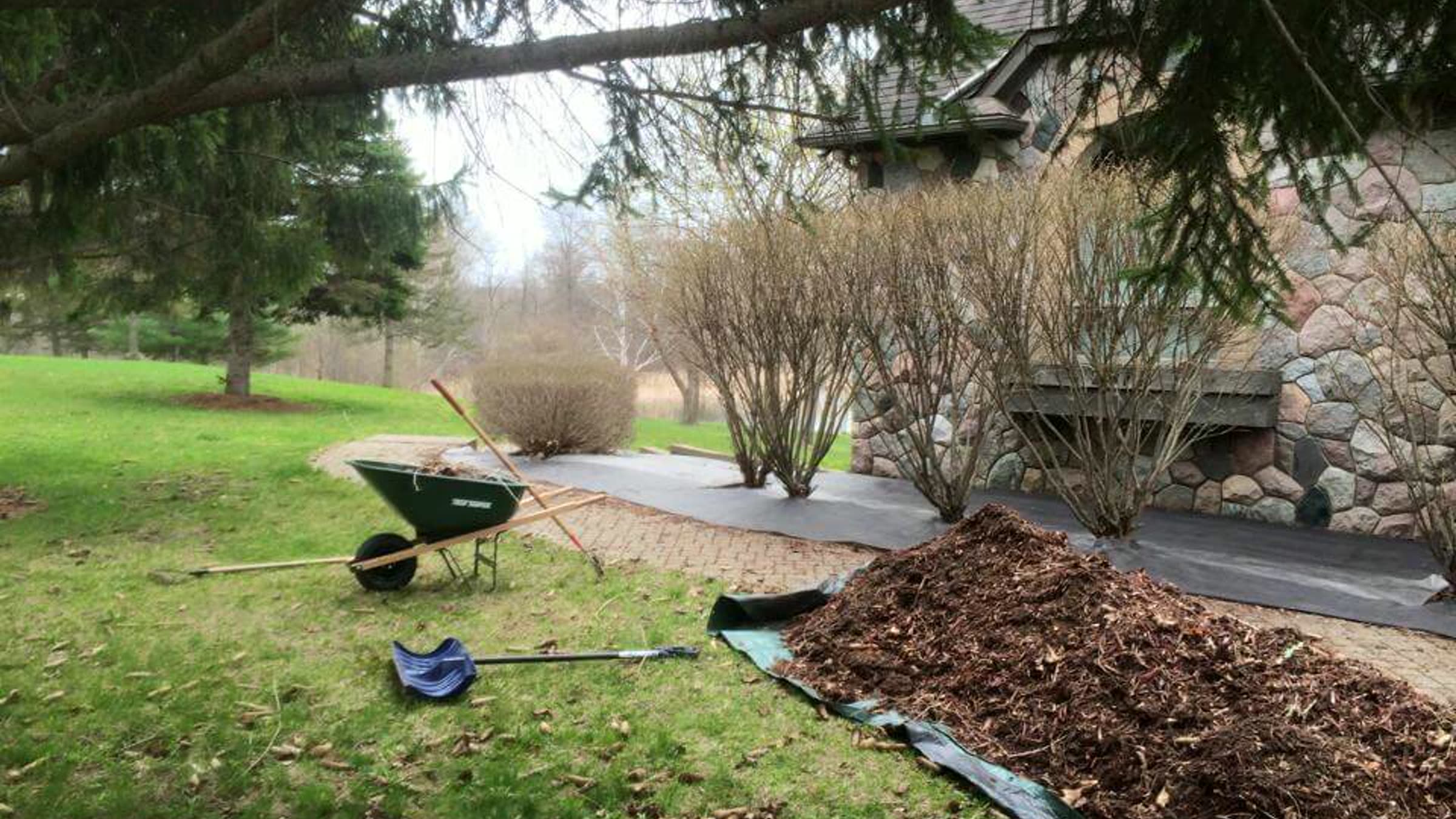 Mulch delivered and spread by wheelbarrow under a tree
