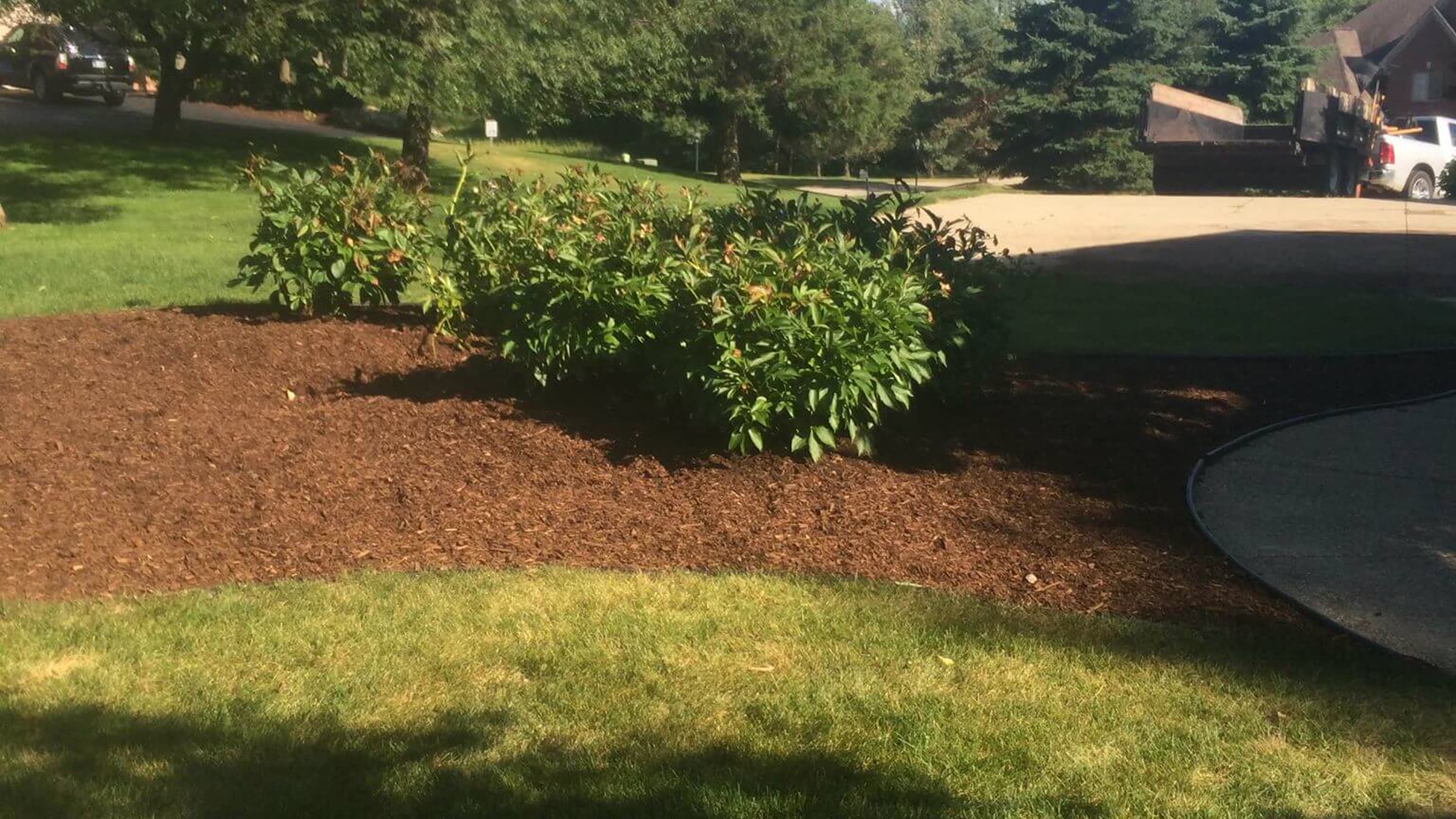 Curved mulch bed edging a lawn